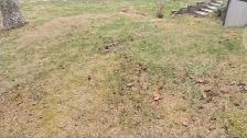 Reduce Fire Risk with Fall Forest Floor & Property Cleanup - Photo 6