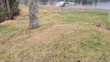 Reduce Fire Risk with Fall Forest Floor & Property Cleanup - Photo 7