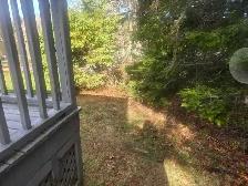 Reduce Fire Risk with Fall Forest Floor & Property Cleanup - Photo 9