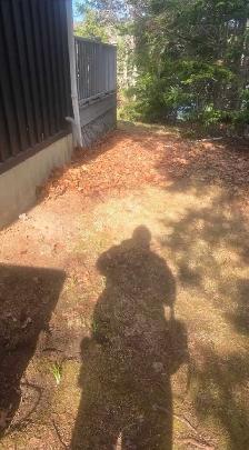 Reduce Fire Risk with Fall Forest Floor & Property Cleanup - Photo 10