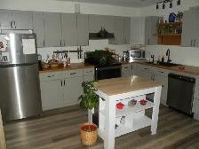 LOVELY 2 BR FLAT DOWNTOWN WINDSOR ACT FAST ! - Photo 6
