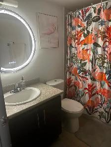 Room 4Rent Etobicoke Prime Location Females Only - Photo 4