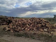 Semi- seasoned tamarack - Waldheim SK - Photo 2