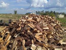 Semi- seasoned tamarack - Waldheim SK - Photo 3