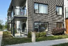 1 Bedroom/1 bathroom / $1995/ Shiraz Gardens - Photo 14