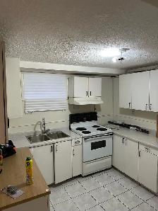 two bedroom walkout basement available - Photo 5