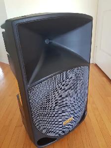 Tapco Thump TH-15A 400 watt powered speaker Pelican 1690  Case
