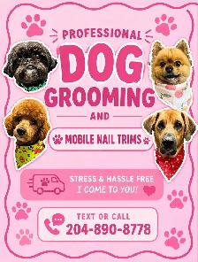 Mobile Nail Trims (Cats & Dogs)