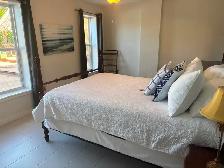 Walkout basement suite: monthly rental December 2026-March 2027 - Photo 3