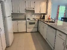 Walkout basement suite: monthly rental December 2026-March 2027 - Photo 9