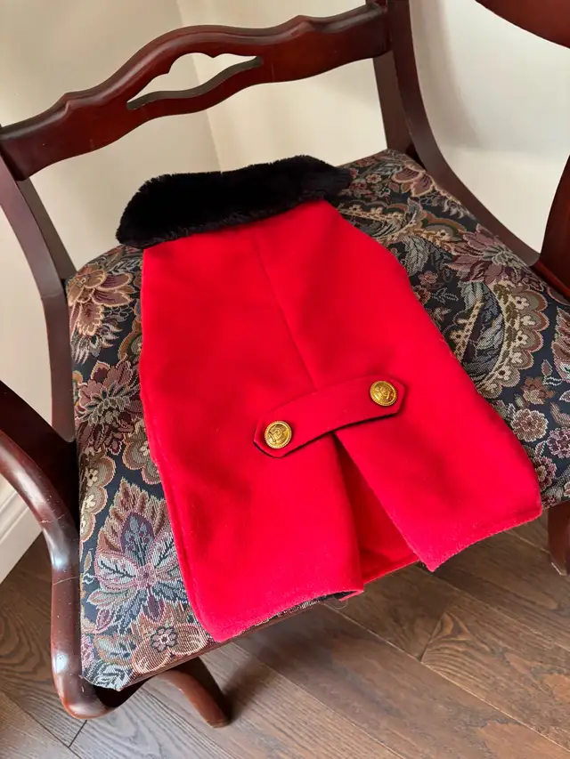 Suuuuuper cute doggy "Dress coat"  medium