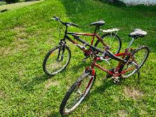 Adult Mountain Bikes For Sale - Photo 5