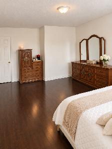 Huge Studio-Sized Room With Walk In Closet Milton - Female Only - Photo 6