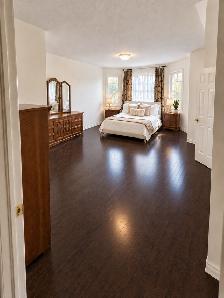 Huge Studio-Sized Room With Walk In Closet Milton - Female Only - Photo 7
