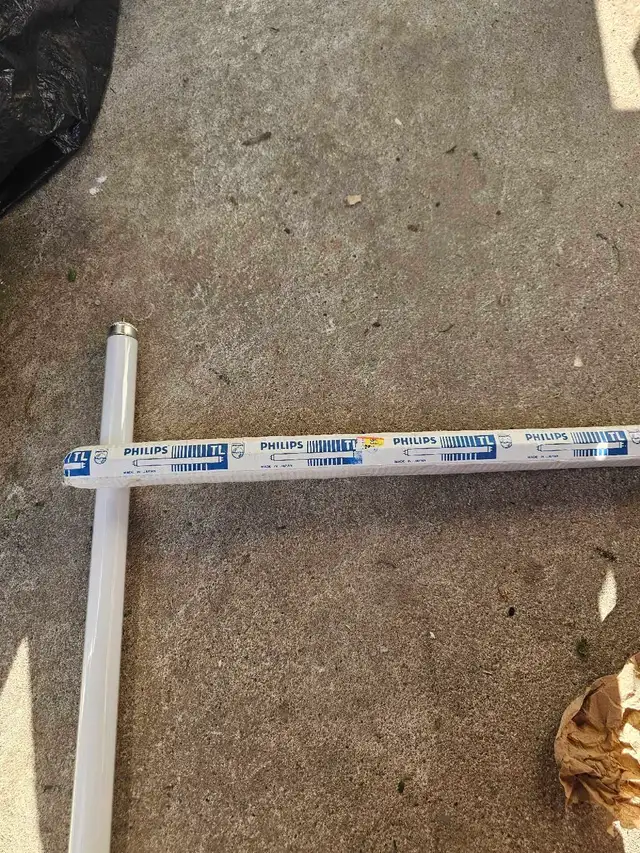 Philips F15 T8/CW Fluorescent Light Bulb