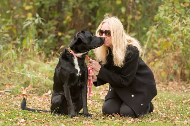 Pet Sitting & Dog Walking