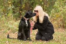 Pet Sitting & Dog Walking
