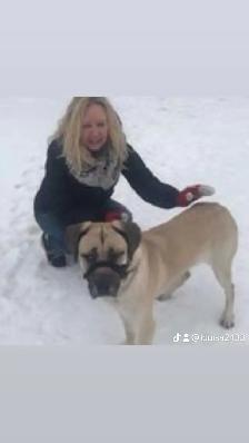 Pet Sitting & Dog Walking - Photo 2