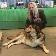 Pet Sitting & Dog Walking - Photo 3