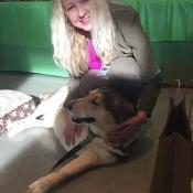 Pet Sitting & Dog Walking - Photo 4