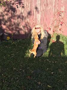 Pet Sitting & Dog Walking - Photo 5