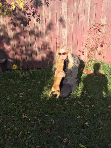 Pet Sitting & Dog Walking - Photo 6