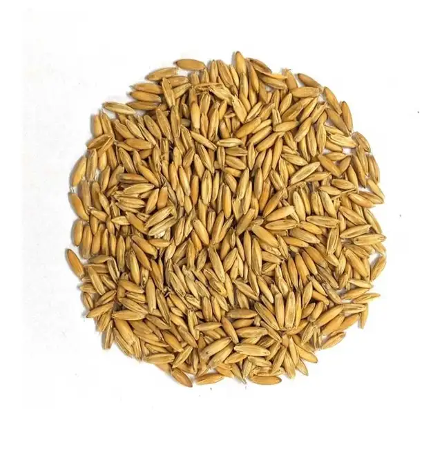 Wanted  whole feed oats Bulk 2026