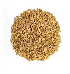 Wanted  whole feed oats Bulk 2026