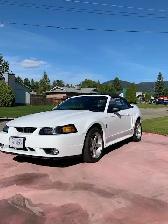 1999 Mustang Cobra convertible