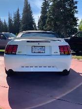 1999 Mustang Cobra convertible - Photo 2