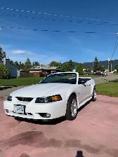 1999 Mustang Cobra convertible - Photo 3