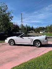 1999 Mustang Cobra convertible - Photo 4