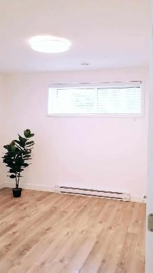 Logement 1 chambre et une salle de bain - Photo 9