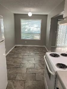 Renovated 3BRS/1.5Bath/Basmt/Parking Close to Millwood T.Centre - Photo 5