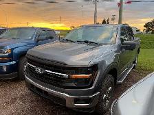 2024 Ford F-150 - Photo 2