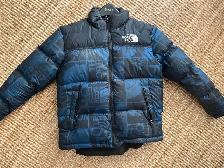 Manteau North face