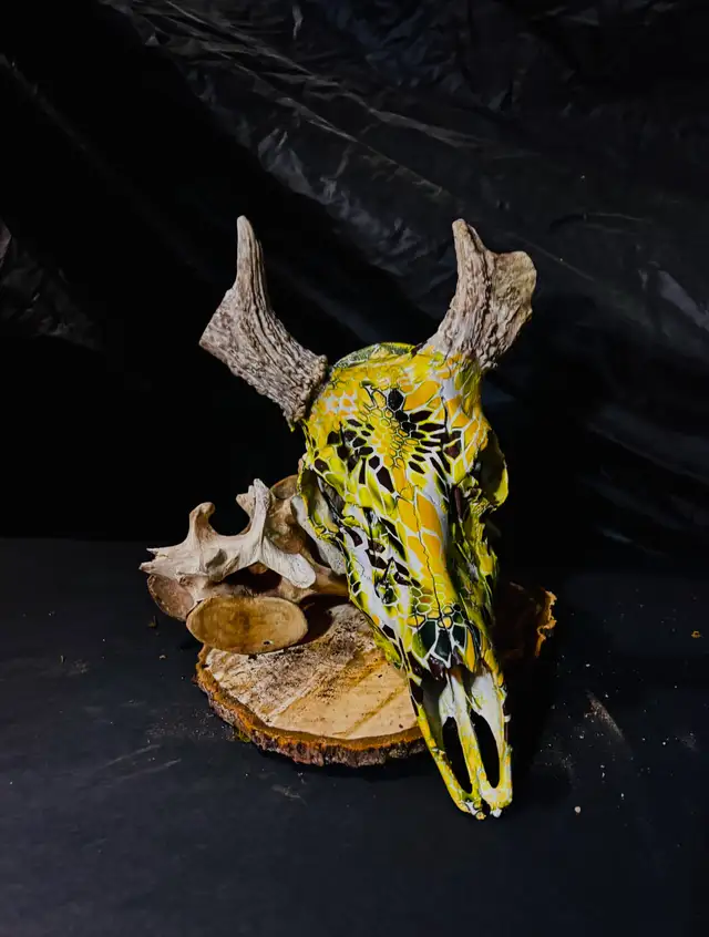 one of a kind hydro dipped deer skull