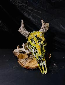 one of a kind hydro dipped deer skull