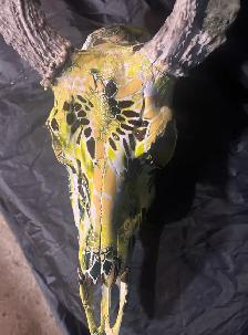 one of a kind hydro dipped deer skull - Photo 2