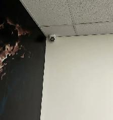 Commercial Security Cameras - CCTV for Business - Photo 2