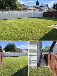 6 Bed 3 Bath — House - Photo 3