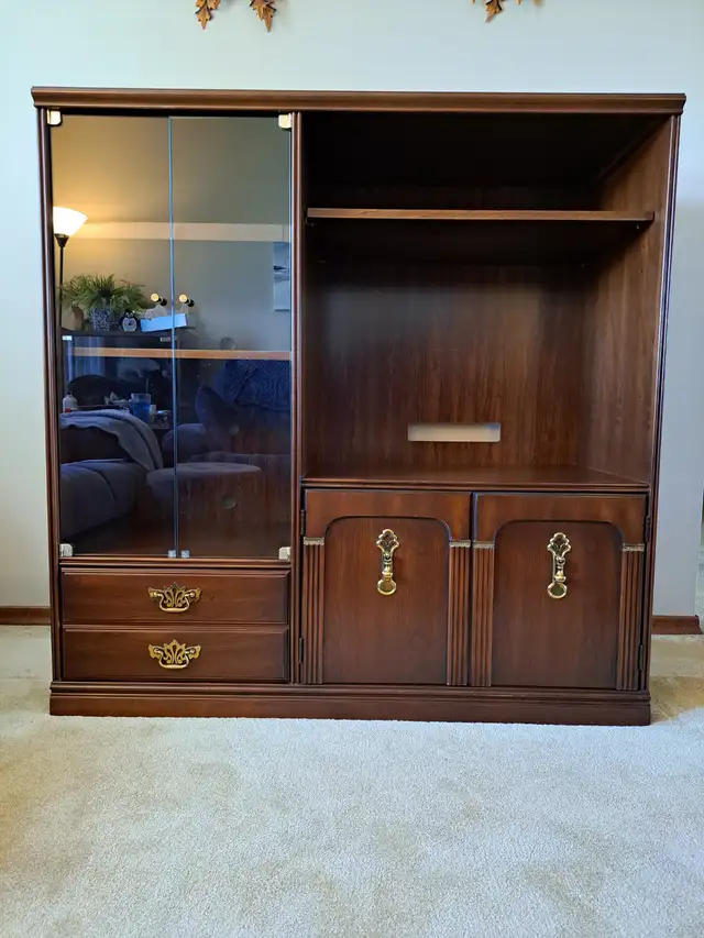 TV-Entertainment Unit