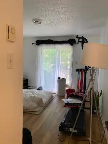 Libre, grand 4 1/2, centre ville de Hull, 1195$ - Photo 4