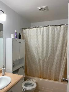Libre, grand 4 1/2, centre ville de Hull, 1195$ - Photo 5