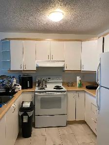 Libre, grand 4 1/2, centre ville de Hull, 1195$ - Photo 6