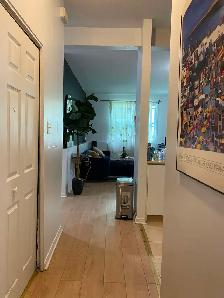 Libre, grand 4 1/2, centre ville de Hull, 1195$ - Photo 8