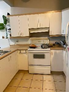 Libre, grand 4 1/2, centre ville de Hull, 1195$ - Photo 9