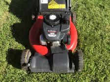 Powerful Lawn Mower - Photo 2