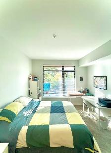 2Bed/2Bath Waterfront Condo Rent - Photo 5