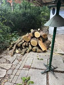 Free Hardwood